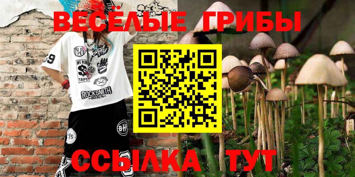 что такое наркотик  Псилоцибиновые грибы GOLDEN TEACHER  Вход с VPN  Ачхой-Мартан 